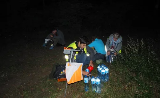 Setka po łódzku, Konstantynów Łódzki - 12.09.2015 - 6